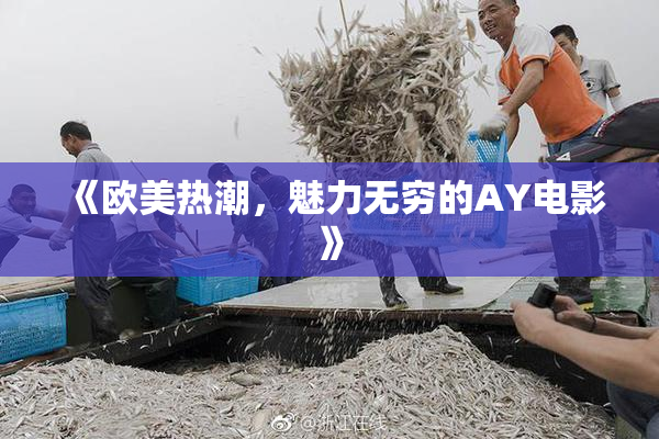《欧美热潮，魅力无穷的AY电影》