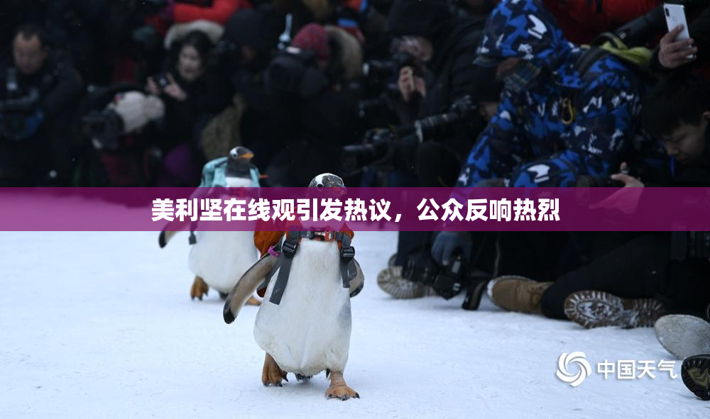 美利坚在线观引发热议，公众反响热烈