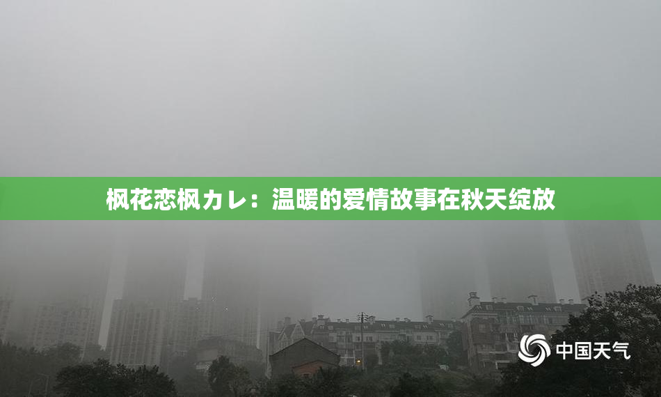 枫花恋枫カレ：温暖的爱情故事在秋天绽放
