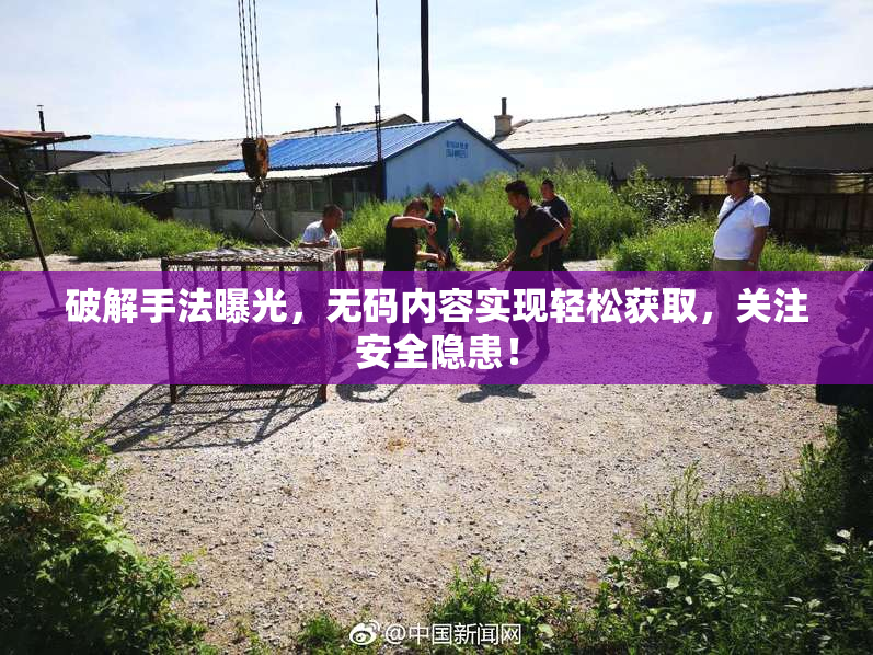 破解手法曝光，无码内容实现轻松获取，关注安全隐患！