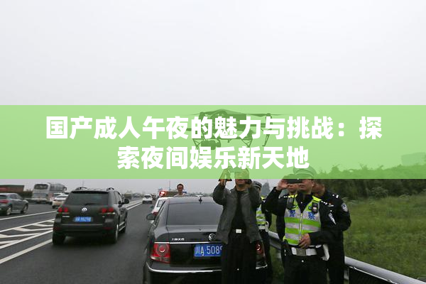 国产成人午夜的魅力与挑战：探索夜间娱乐新天地