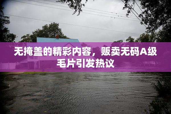 无掩盖的精彩内容，贩卖无码A级毛片引发热议