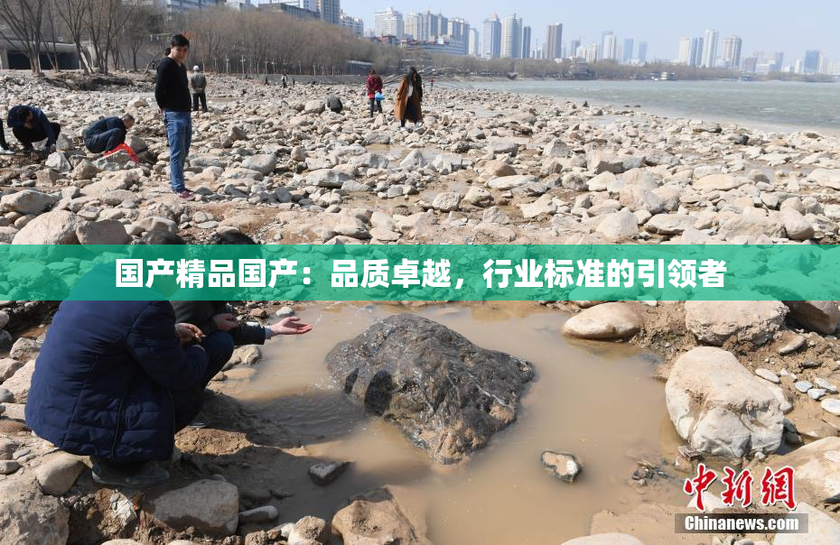 国产精品国产：品质卓越，行业标准的引领者