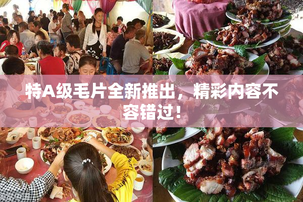 特A级毛片全新推出，精彩内容不容错过！