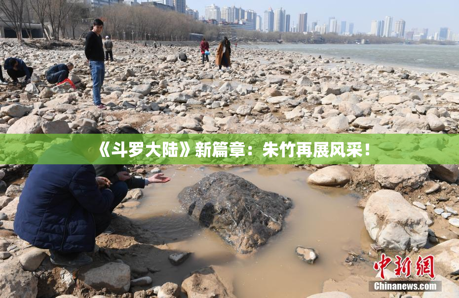 《斗罗大陆》新篇章：朱竹再展风采！