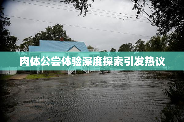 肉体公尝体验深度探索引发热议