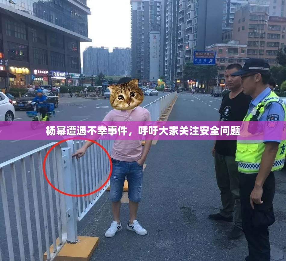 杨幂遭遇不幸事件，呼吁大家关注安全问题