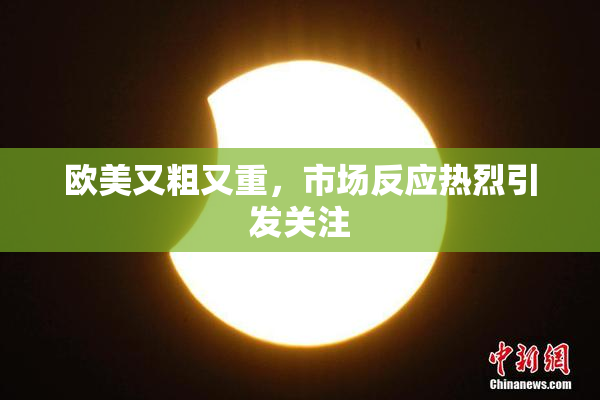 欧美又粗又重，市场反应热烈引发关注