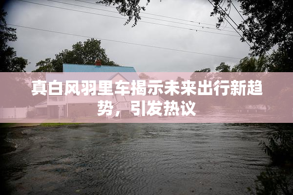 真白风羽里车揭示未来出行新趋势，引发热议
