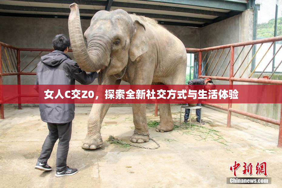 女人C交Z0，探索全新社交方式与生活体验
