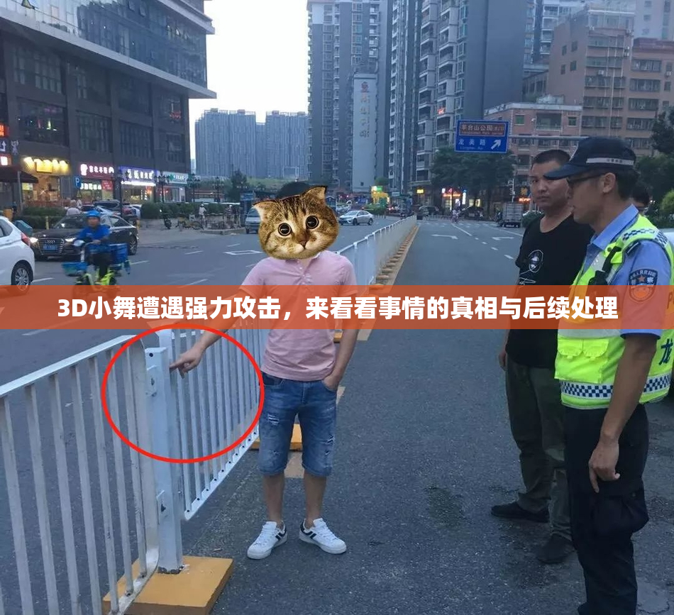 3D小舞遭遇强力攻击，来看看事情的真相与后续处理