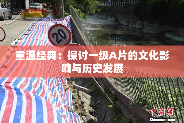 重温经典：探讨一级A片的文化影响与历史发展