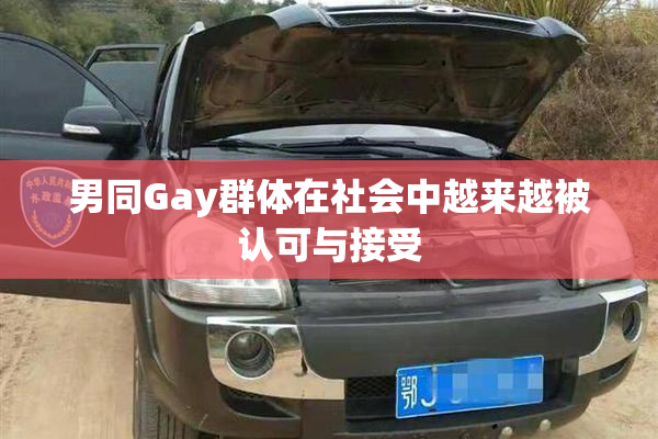 男同Gay群体在社会中越来越被认可与接受