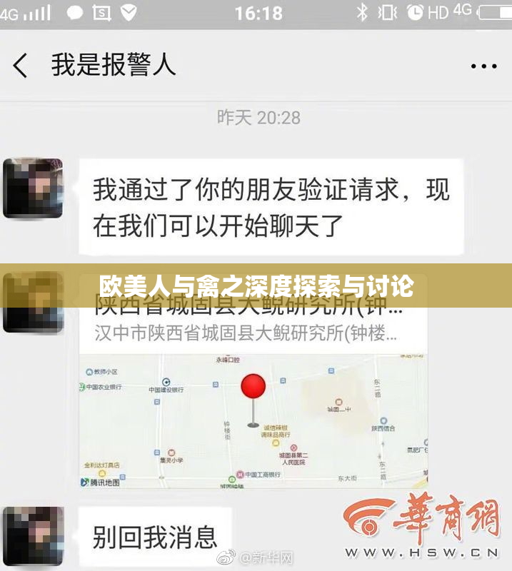 欧美人与禽之深度探索与讨论
