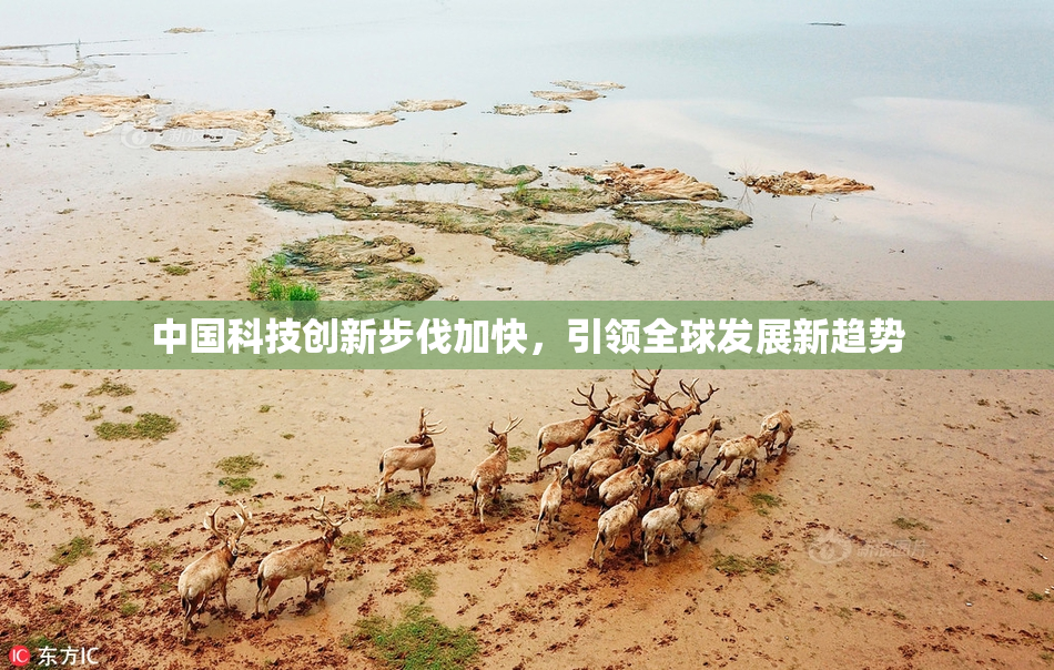 中国科技创新步伐加快，引领全球发展新趋势