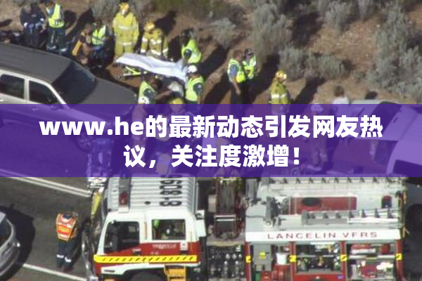 www.he的最新动态引发网友热议，关注度激增！