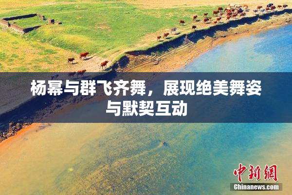 杨幂与群飞齐舞，展现绝美舞姿与默契互动