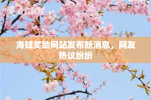 海贼奖励网站发布新消息，网友热议纷纷