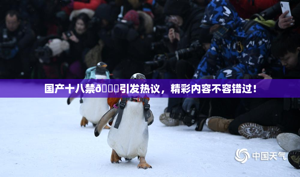 国产十八禁🔞引发热议，精彩内容不容错过！