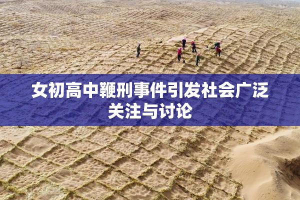 女初高中鞭刑事件引发社会广泛关注与讨论