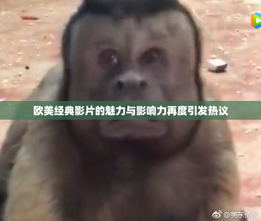 欧美经典影片的魅力与影响力再度引发热议