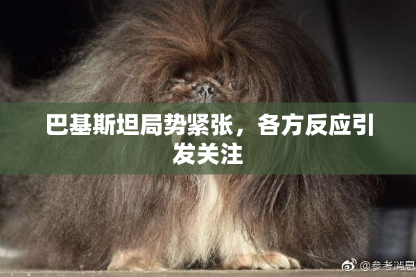 巴基斯坦局势紧张，各方反应引发关注