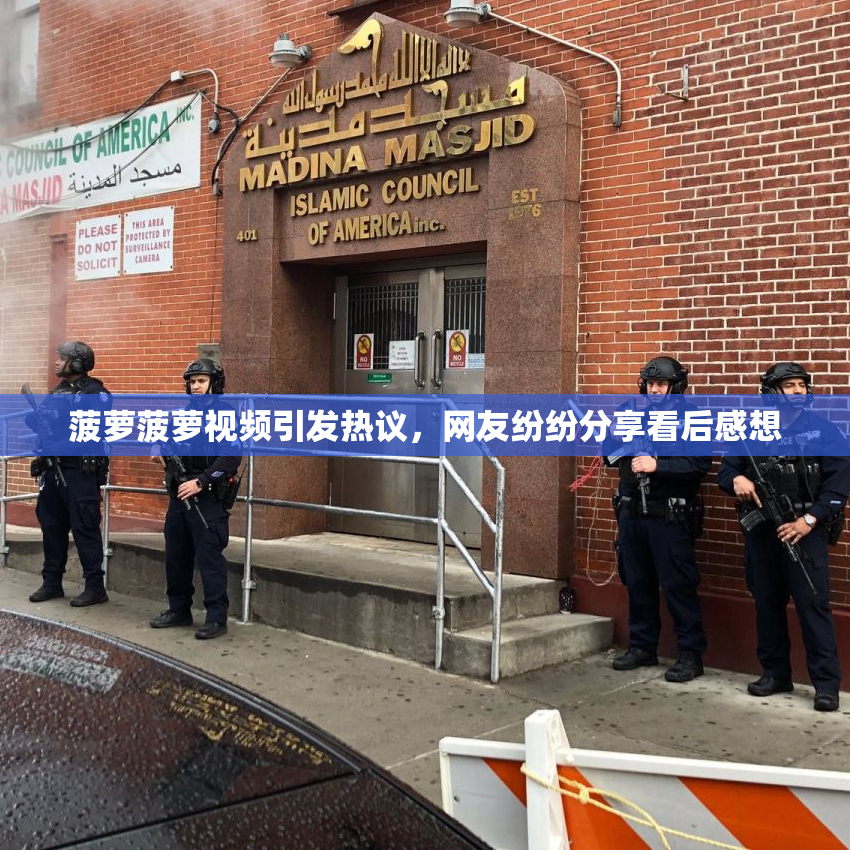 菠萝菠萝视频引发热议，网友纷纷分享看后感想