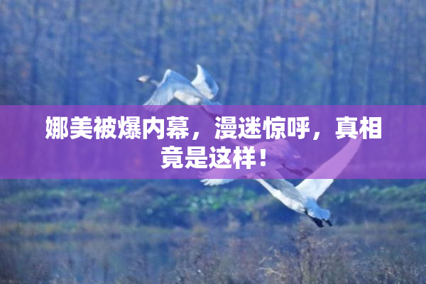 娜美被爆内幕，漫迷惊呼，真相竟是这样！