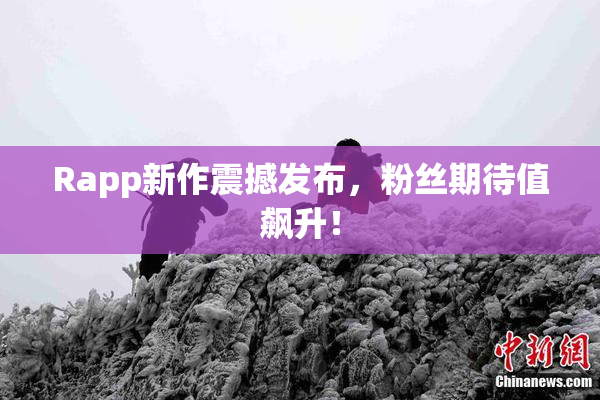 Rapp新作震撼发布，粉丝期待值飙升！