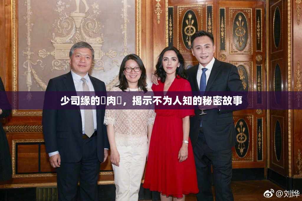少司缘的婬肉泬，揭示不为人知的秘密故事