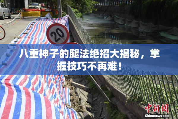 八重神子的腿法绝招大揭秘，掌握技巧不再难！