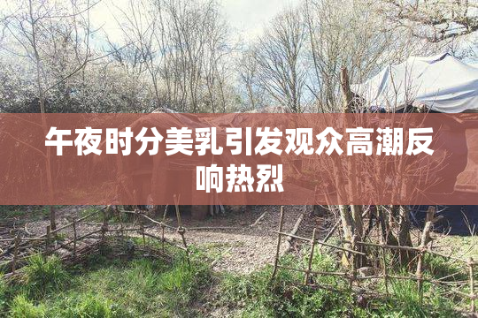 午夜时分美乳引发观众高潮反响热烈