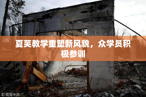 夏芙教学重塑新风貌，众学员积极参训