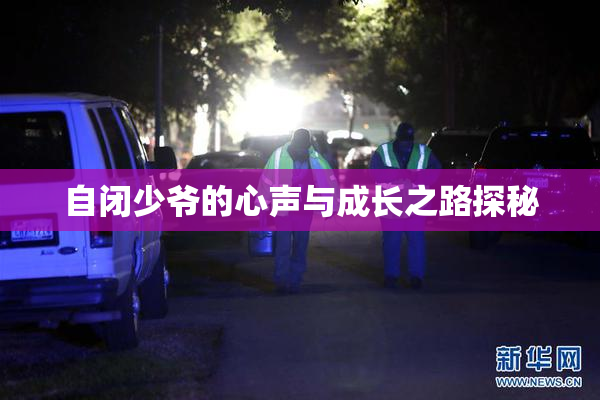 自闭少爷的心声与成长之路探秘