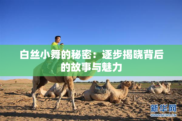 白丝小舞的秘密：逐步揭晓背后的故事与魅力