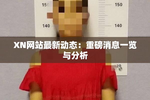XN网站最新动态：重磅消息一览与分析