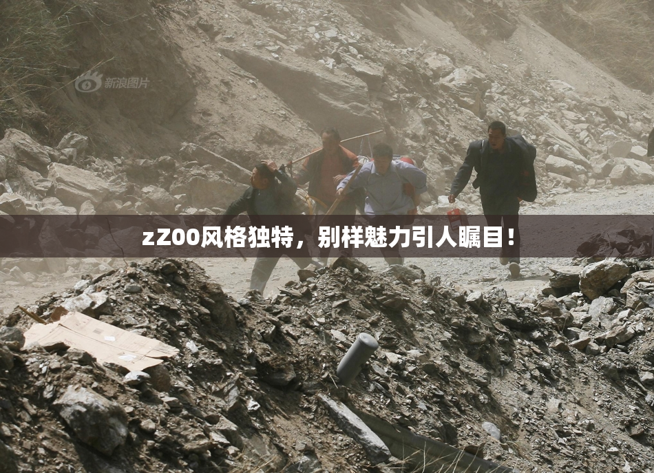 zZ00风格独特，别样魅力引人瞩目！