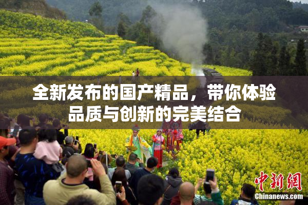 全新发布的国产精品，带你体验品质与创新的完美结合