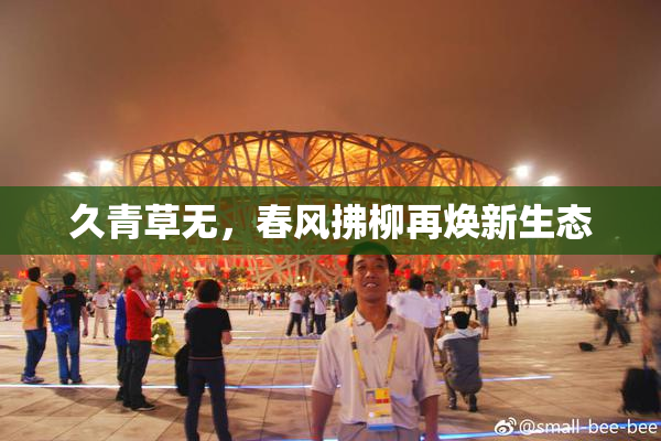 久青草无，春风拂柳再焕新生态