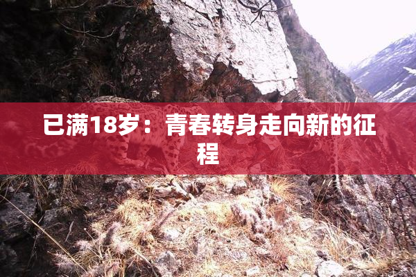 已满18岁：青春转身走向新的征程