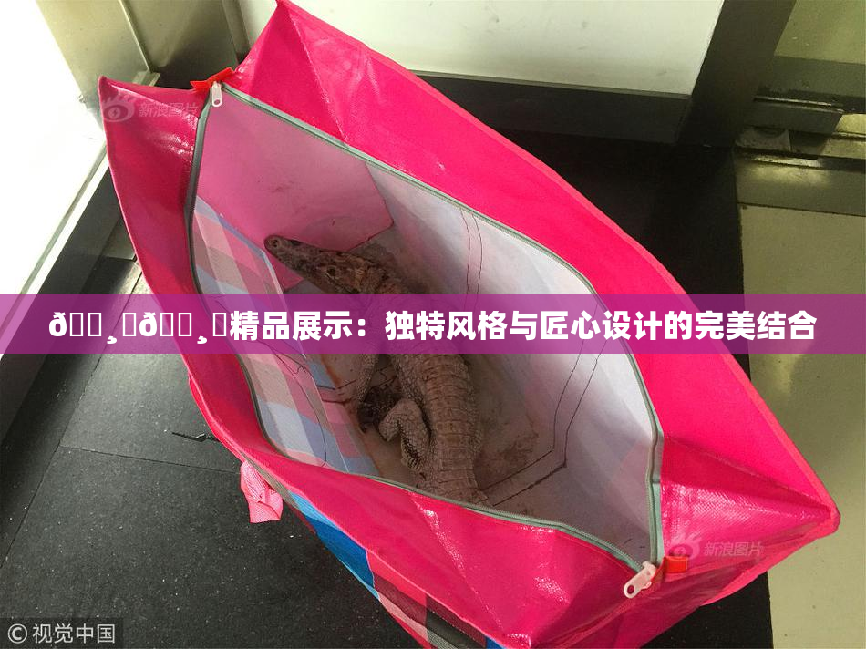 🌸‌🌸‌精品展示：独特风格与匠心设计的完美结合