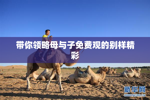 带你领略母与子免费观的别样精彩