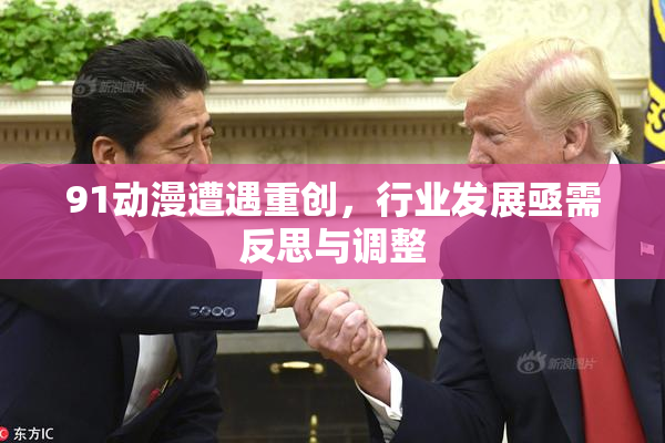 91动漫遭遇重创，行业发展亟需反思与调整