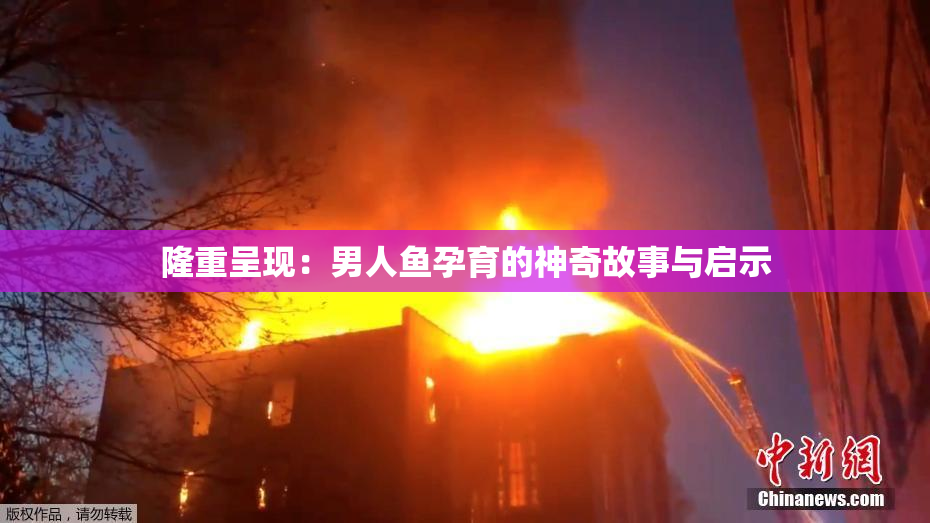 隆重呈现：男人鱼孕育的神奇故事与启示