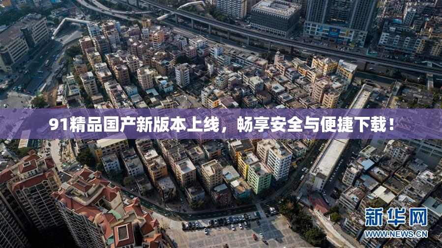 91精品国产新版本上线，畅享安全与便捷下载！