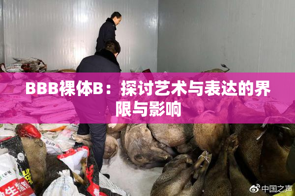 BBB裸体B：探讨艺术与表达的界限与影响