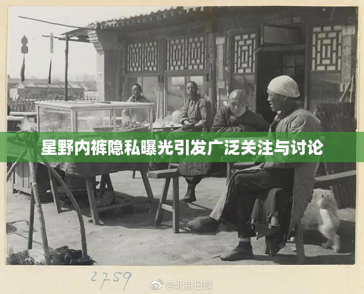 星野内裤隐私曝光引发广泛关注与讨论