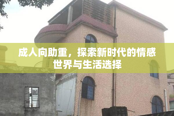 成人向助重，探索新时代的情感世界与生活选择