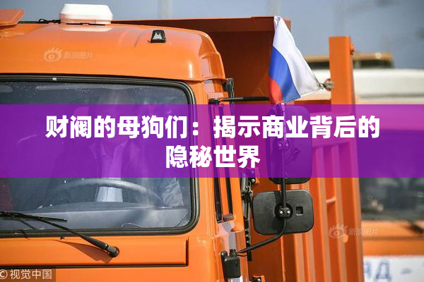 财阀的母狗们：揭示商业背后的隐秘世界