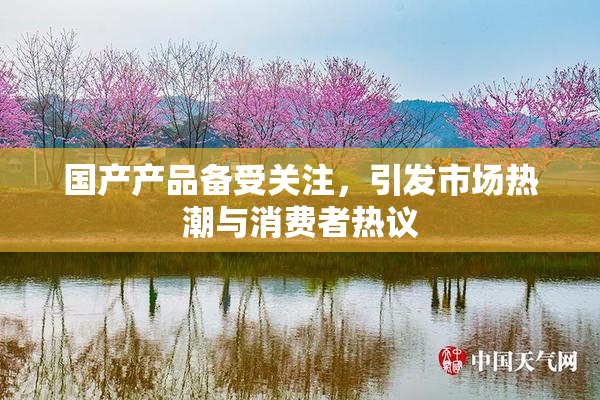 国产产品备受关注，引发市场热潮与消费者热议